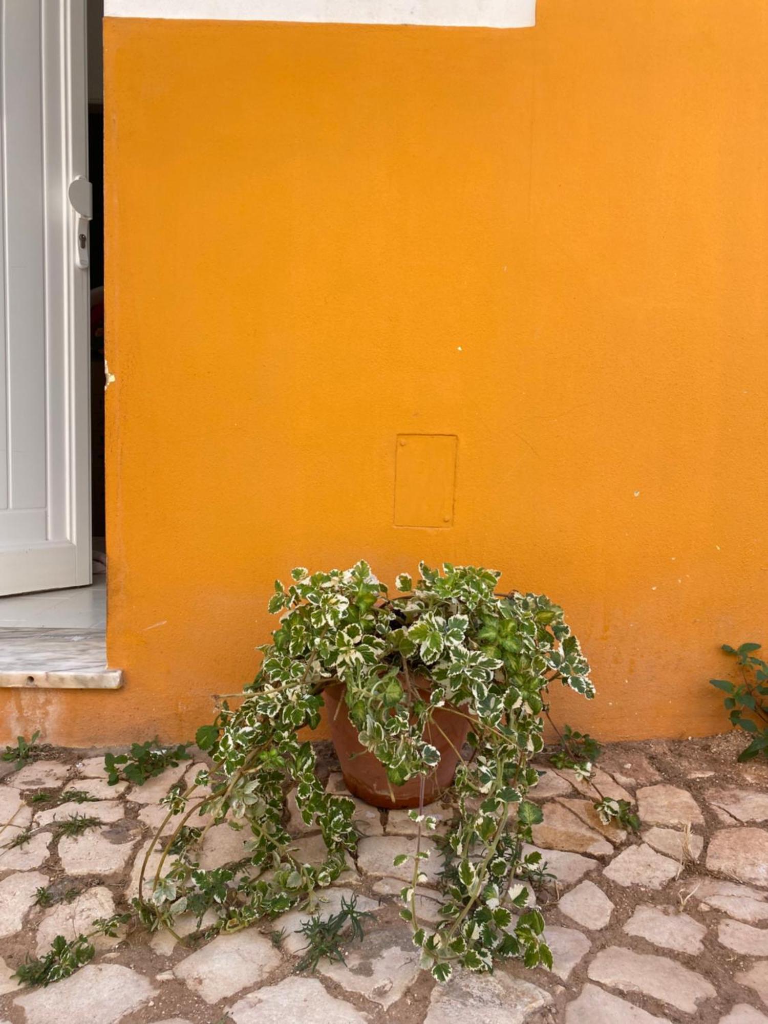 Casa Da Aldeia Vakantiehuis Bensafrim
